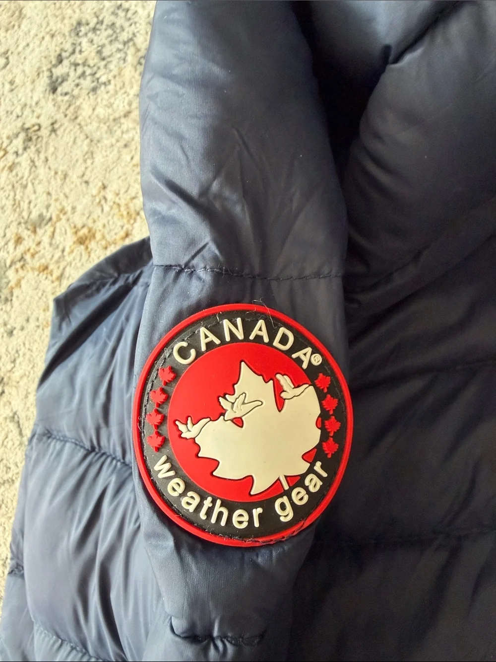 Canada Weather Gear Hooded Jacket Winter Coat Navy Blue L With Travel Bag